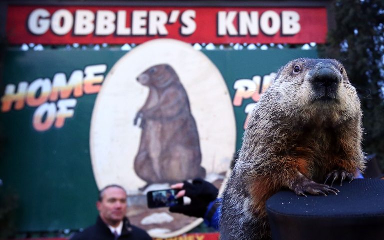 Dia De La Marmota En Ingles