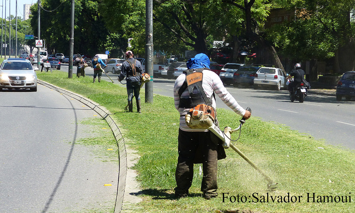 Pese al calor, ellos trabajan sin parar