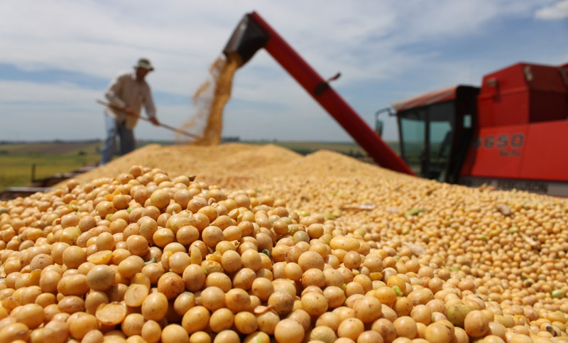 La cosecha de granos gruesos podría enfrentar dificultades climáticas
