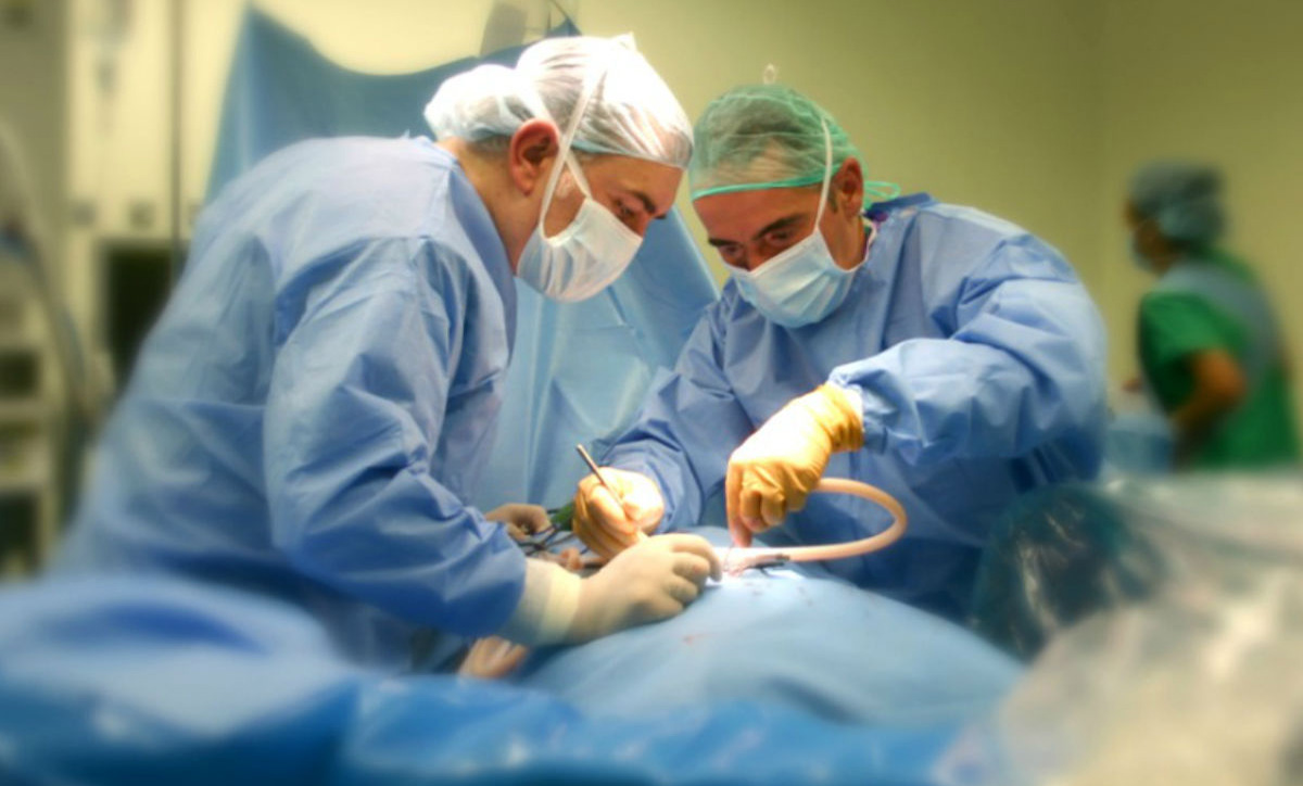 Santa Fe: nueve donantes posibilitaron 25 trasplantes de órganos y tejidos
