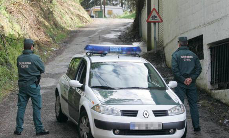 Encuentran perros muertos en casa de una mujer que decía ser veterinaria