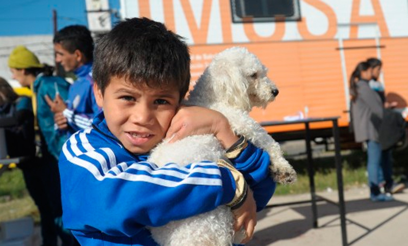 Se ponen en funcionamiento nuevos puestos de Salud Animal