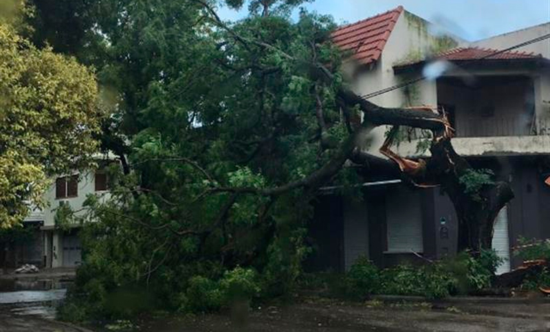 A 4 días del temporal, aún hay usuarios sin luz en La Plata