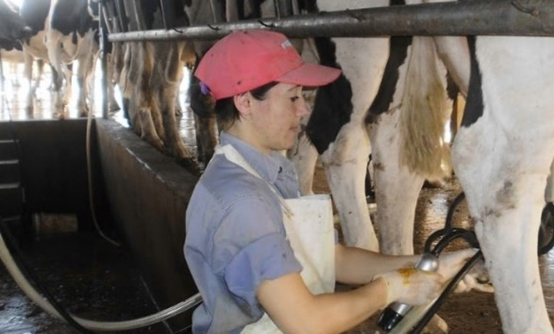 El valor de mujeres cordobesas que están al frente de tambos