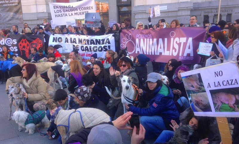 Miles de personas piden terminar con utilización de perros para cazar