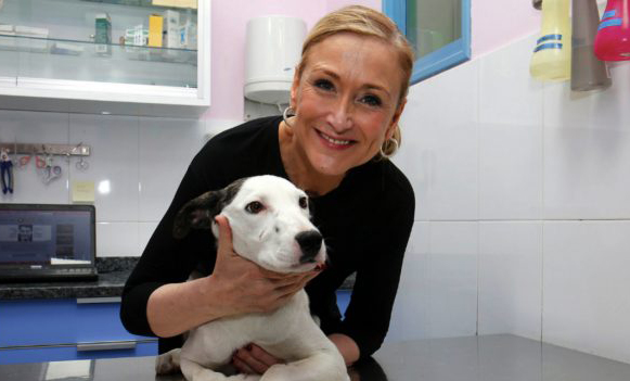En Madrid habrá multas de hasta 45 mil euros por maltrato animal