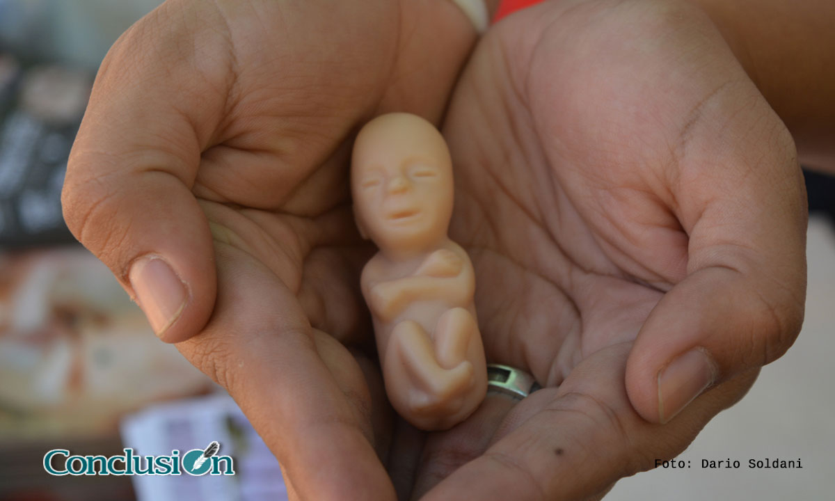 Día internacional de los derechos del niño por nacer…