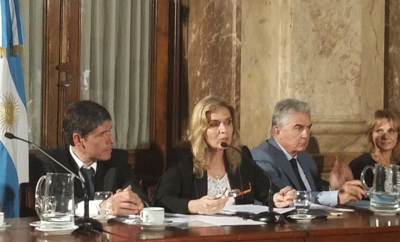 “El Estado se hará cargo de la provisión de cannabis para uso terapéutico”