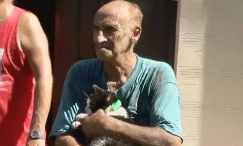 Una gata “avisó” a un hombre que su casa se incendiaba y lo salvó