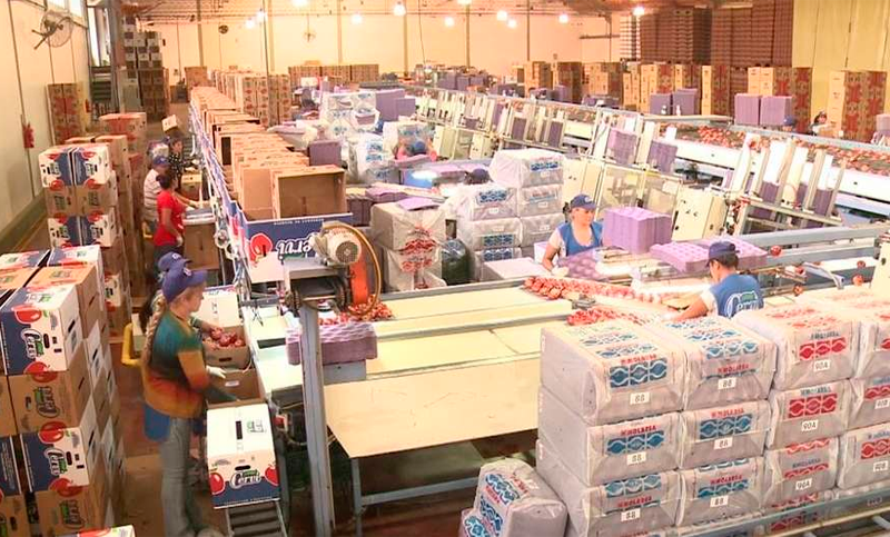 Producción industrial se desplomó 9,5% en febrero