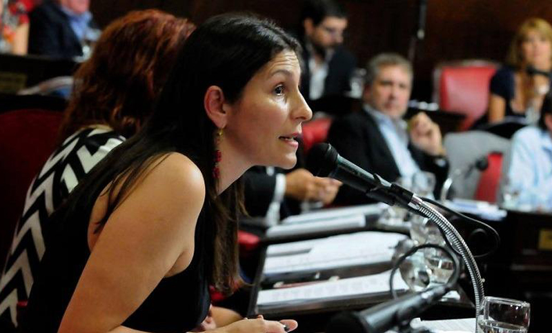 Senadora solicitó a la Justicia que se impida el ingreso de voluntarios a las escuelas