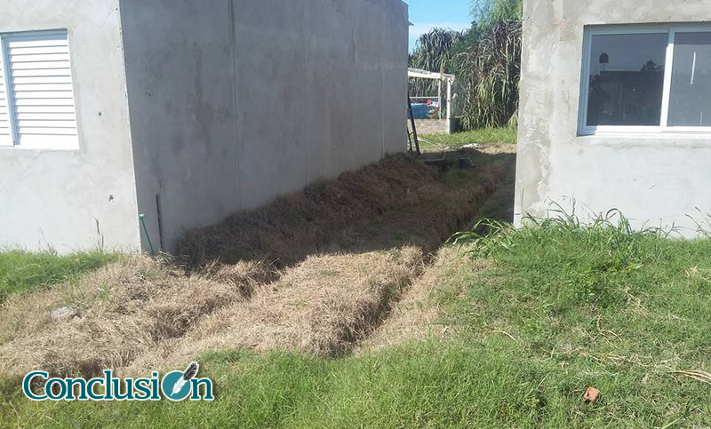 Timbúes: denuncian fumigación con glifosato en el casco urbano