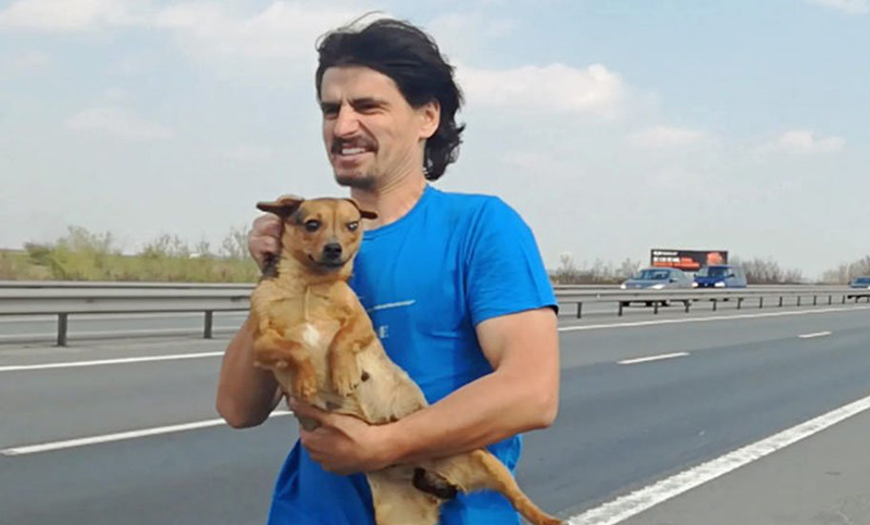 Un veterinario rescató a un perro que fue abandonado en la ruta
