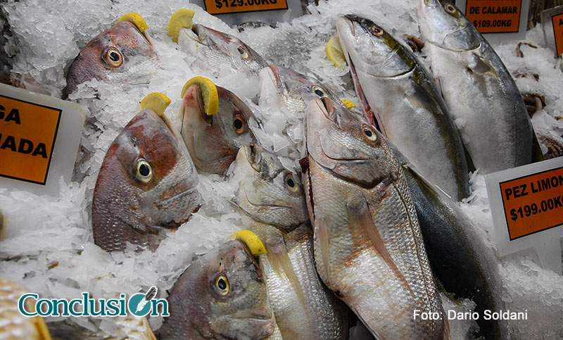 Semana Santa: los precios de pescados llegan con un leve aumento