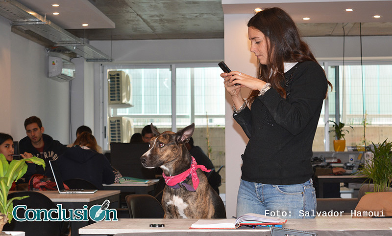 Trabajar con tu mascota, una forma original de festejar el Día del Animal