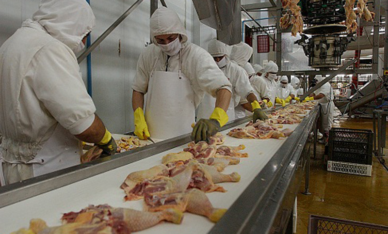 Productores de pollos advierten que se agrava la crisis en el sector