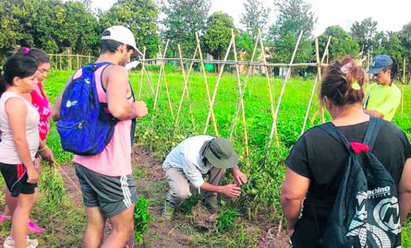 Veinte familias llevan adelante en 4 hectáreas la Eco Huerta de Zavalla