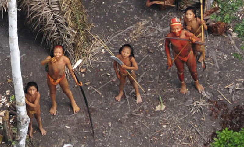 Brasil: Gobierno abandona a indígenas aislados frente a madereros y agroganaderos