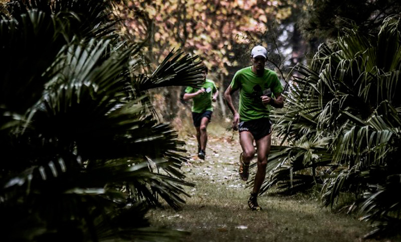 Abrió la inscripción para la Maratón del Bosque 2017