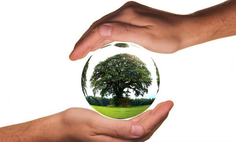Muchos argentinos aseguran que falta «concientización» sobre medio ambiente