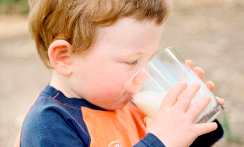 La alergia a la leche de vaca afecta a cerca de 50 mil niños menores de 3 años