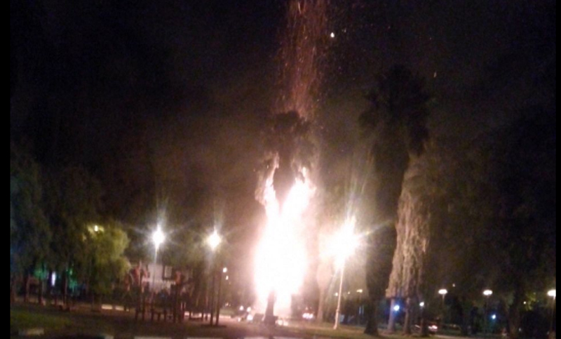 Prendieron fuego una palmera en el Parque Independencia