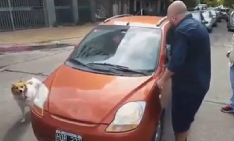 Una mujer abandonaba a su perro y fue increpada en la calle