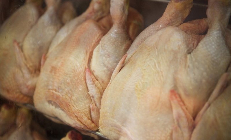Productores de pollo alertan por la caída de exportaciones y por el valor del dólar