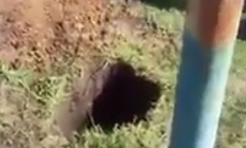 Una nena de siete años cayó en un pozo de dos metros de profundidad