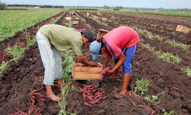 Destacan «protagonismo» de América Latina como preveedor de alimentos