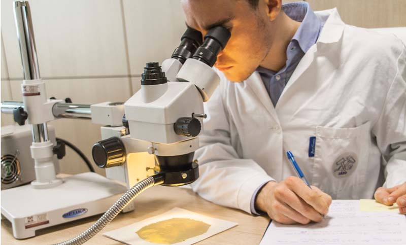 Rosarinos trabajan en nuevas herramientas para el sector productivo