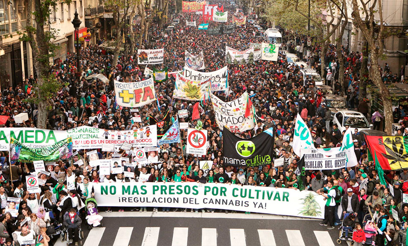 «Pedimos que el Estado contemple una forma de amparo para los cultivadores»