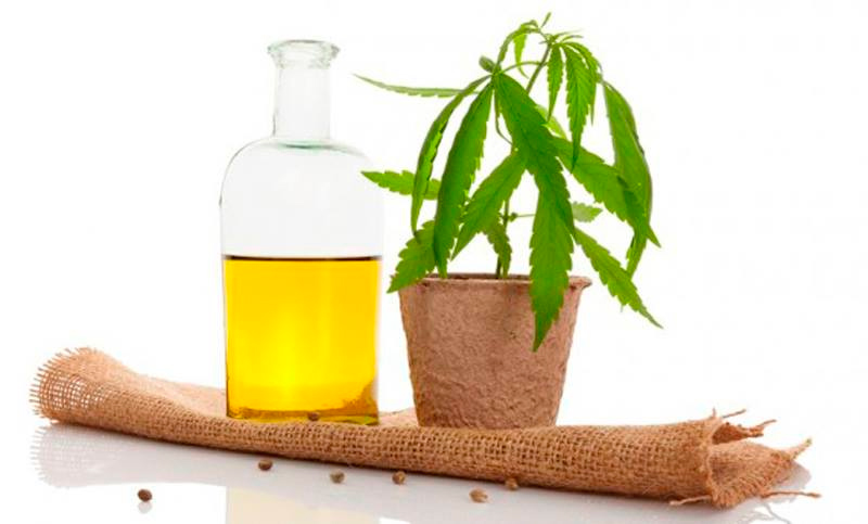 La ordenanza para uso medicinal de cannabis avanza en el Concejo