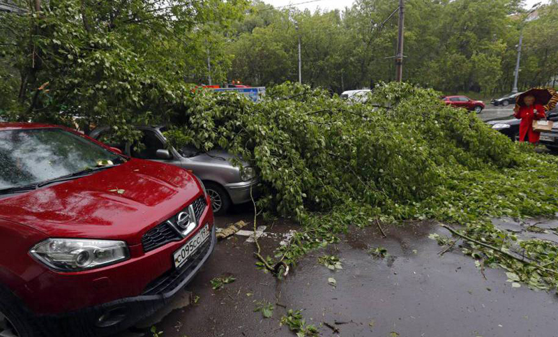 Rusia: al menos 11 muertos por temporal de lluvia y vientos huracanados