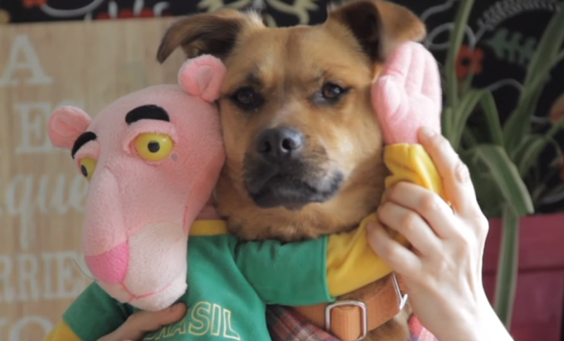 La versión de “Despacito” para proteger a los animales