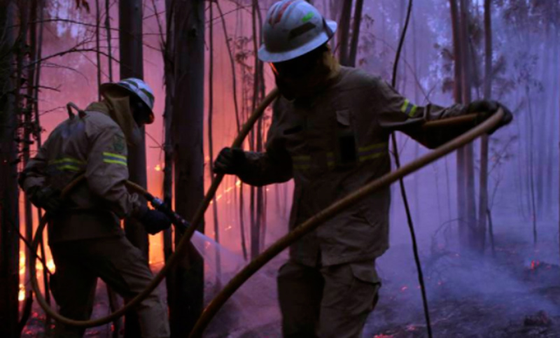Se eleva a 62 el número de muertos por incendio en Portugal