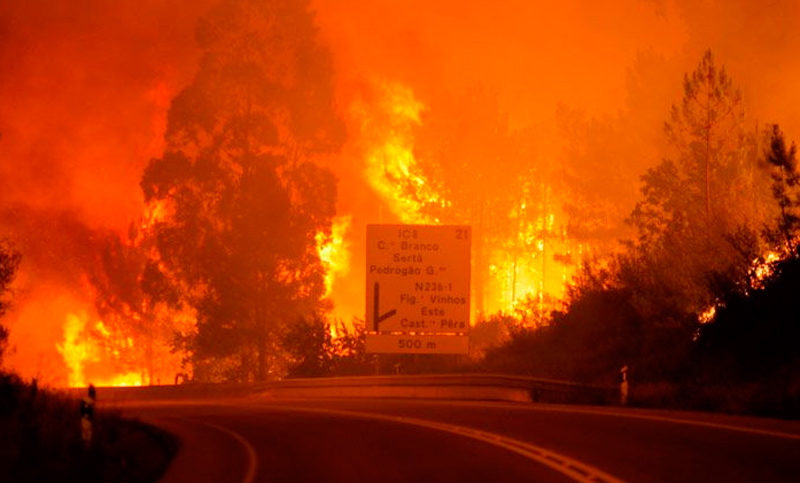 Asciende a 57 el número de muertos por incendio forestal de Portugal