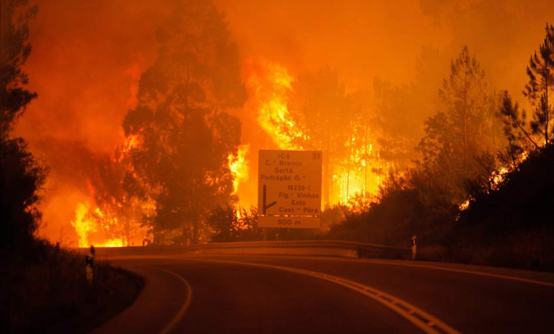 Portugal: ascienden a 64 los muertos en los incendios forestales