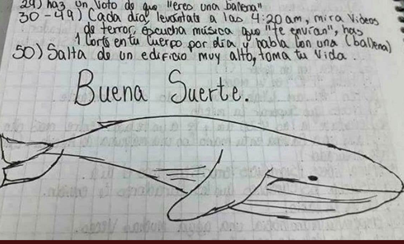 Se confirmó el primer caso de muerte por «la Ballena Azul» en Argentina