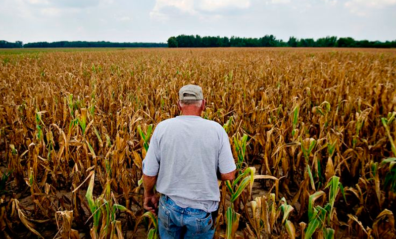 La FAA busca beneficiar a los pequeños y medianos productores
