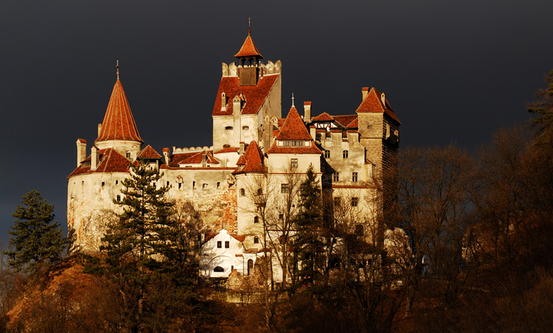 Una osa espantaba a los turistas en el castillo de Drácula
