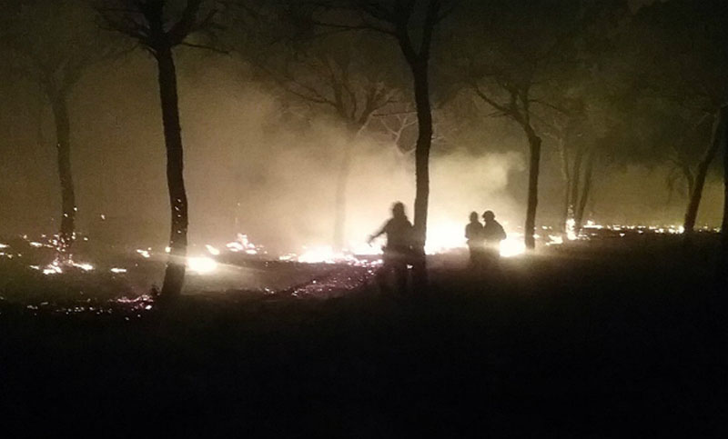 España: 1.500 evacuados por incendio que llega a Parque natural de Doñona