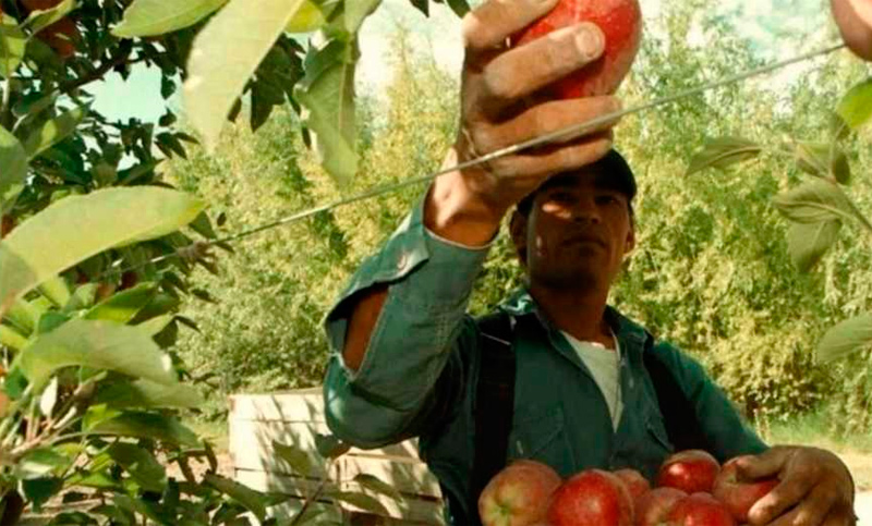 Una empresa en crisis ofrece pagar los sueldos con manzanas