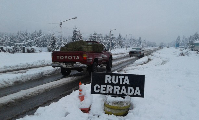 Un peón rural murió en Chubut como consecuencia de la ola polar