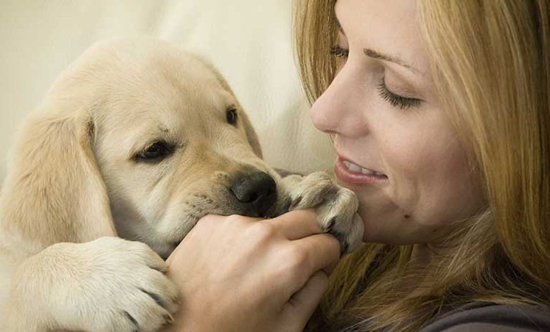 Día del Perro: para homenajear a los mejores amigos de las personas