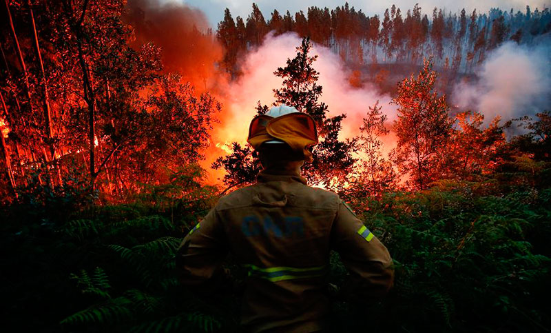 Identificaron a 24 de los 62 muertos en los incendios forestales de Portugal