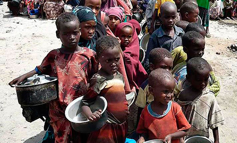 FAO: aumentó el número de personas que sufren hambre en el mundo