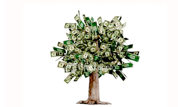 Lo único que brota verde es el precio del dólar: está imparable y cerró a casi $18
