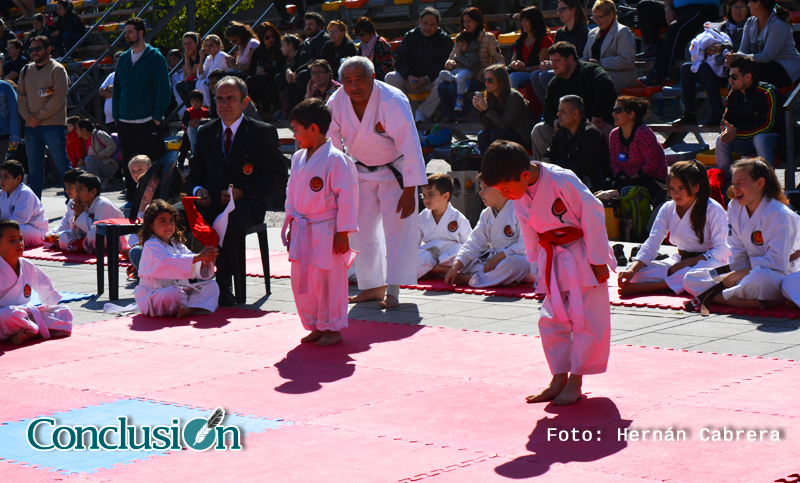 Artes marciales y deportes de contacto, en la agenda deportiva