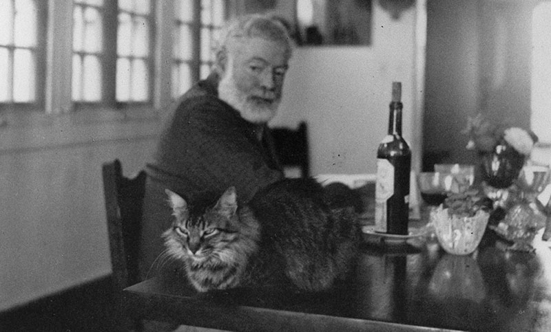 Cuando se nos fue Hemingway